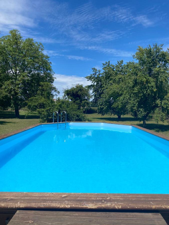 Magnifique Villa Piscine Dans Un Ecrin De Verdure Eckbolsheim Ngoại thất bức ảnh